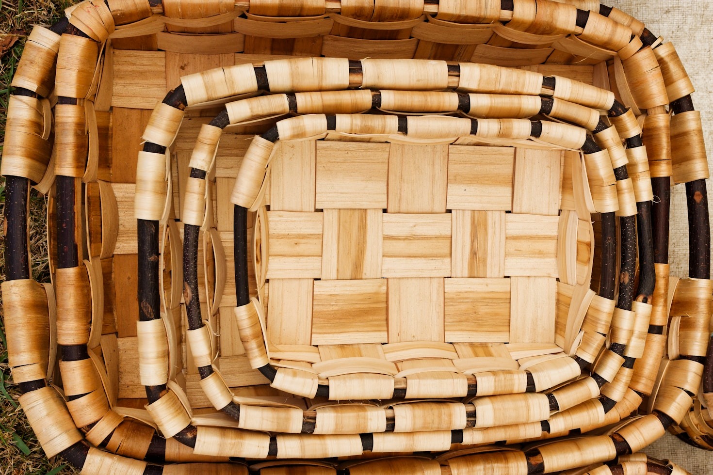 The Craft of Felt: A Journey into Art and Design